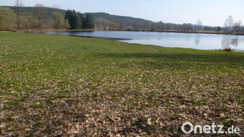 Nicht nur Einheimische, auch Familien und Gruppen aus der ganzen Umgebung frequentieren besonders an den Wochenenden das 4000 Quadratmeter große Areal am Badeweiher in Weiherhammer. Bild: bk