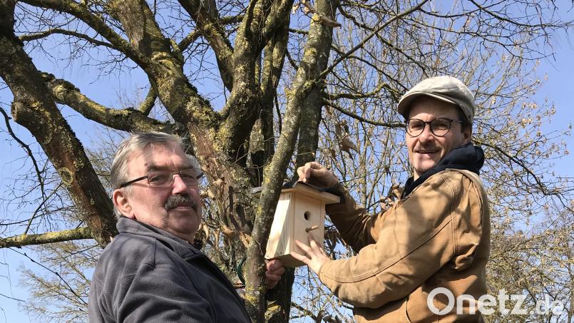 Georg Weiß (links) und Jürgen Huber hängen die neuen Vogelnistkästen auf. Bild: mma