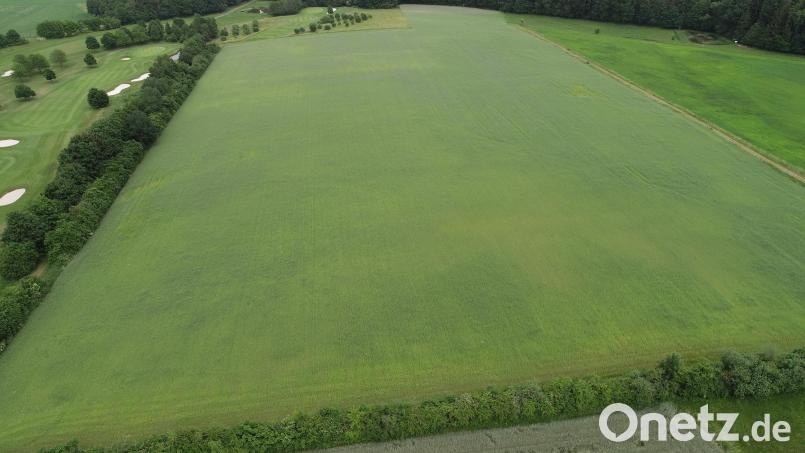 Auf der einheitlich grünen Fläche, links abgegrenzt durch die Hecke, bis hinter zum Wald mit Ausnahme des kleinen Teiles vom Golfplatz Schwanhof, wird der &quot;Solarpark Gelpertsricht&quot; gebaut. Bild: bey