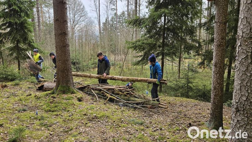 Die Schüler brachten sich beim Waldpädagogiktag der Realschule im Stiftland aktiv ein. Bild: Barbara Strenge/exb