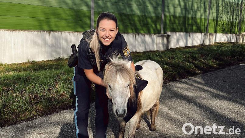 Eine Polizistin hält ein entlaufenes Pony fest. Ein Passant hatte das ausgebüxte Pferd in der Nähe der Bundesstraße 2 entdeckt und die Polizei gerufen. Bild: Polizeipräsidium Mittelfranken/dpa