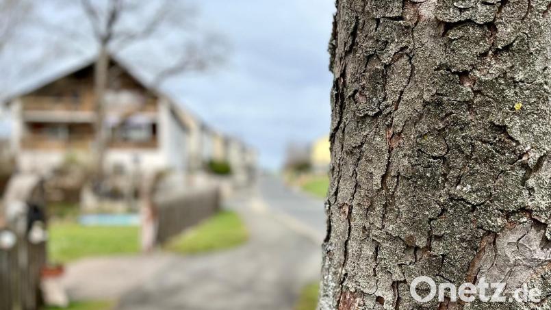 In dieser Kohlberger Wohnsiedlung sind zwei Personen in eines der Häuser eingebrochen und haben einen Mann verletzt. Manche Nachbarn fühlen sich am Tag nach der Tat unsicher. Bild: Gabi Schönberger
