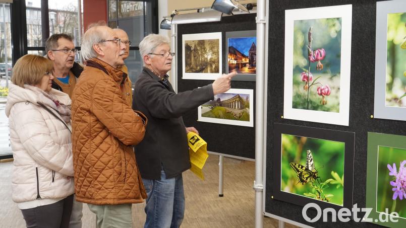Brillant belichtete und gut ausgeleuchtete Bilder mit unterschiedlichsten Motiven waren bei der Ausstellung der Fotofreunde in Kemnath zu bewundern. Bild: Klaus Stingl/exb