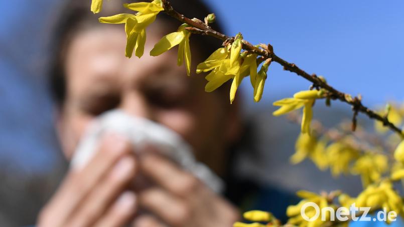 Heuschnupfen ist in Deutschland gar nicht so selten. Die Anzahl der Allergiker hat seit den 70er-Jahren laut Robert Koch-Institut (RKI) zugenommen. Symbolbild: Angelika Warmuth/dpa