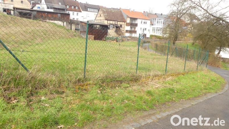 Nördlich des Weidelbachparkplatzes sollen nach Beschluss des Stadtrats 21 weitere Stellplätze entstehen. Bild: rn
