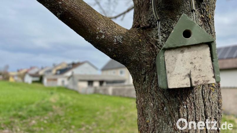 Wie gelangten die Kohlberger Einbrecher zum Tatort? Auf welchem Weg flohen sie? Und wo ist die Beute? Diese Fragen beschäftigen derzeit die Ermittler. Bild: Gabi Schönberger
