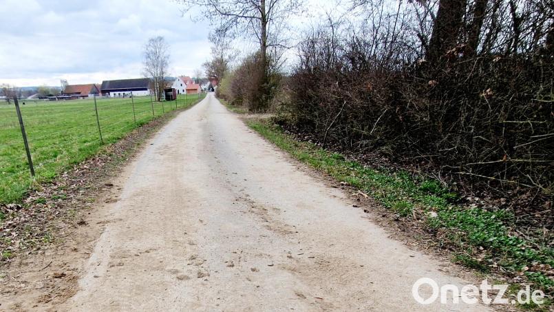 Der Weg bei Asbach (Markt Schwarzenfeld) kann ein Stück des Oberpfälzer-Seenland-Radwegs aufnehmen. Bild: Thomas Dobler