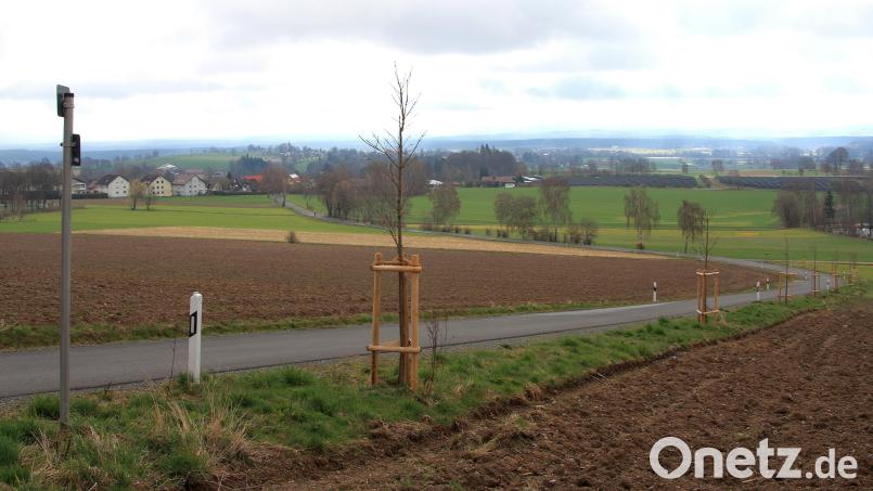 Auf der Hackelsteinstraße (Bild) darf künftig nur noch mit maximal Tempo 50 gefahren werden. Darauf einigten sich die Markträte von Fuchsmühl. Bild: wro