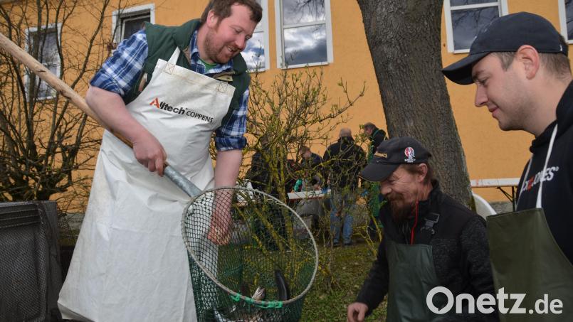 Frischer geht nicht: Weiherbesitzer und Vereinsmitglied Josef Fichtl aus Waldthurn (links) liefert die heimischen und qualitätsvollen Fische an der Alten Turnhalle an. Bild: dob