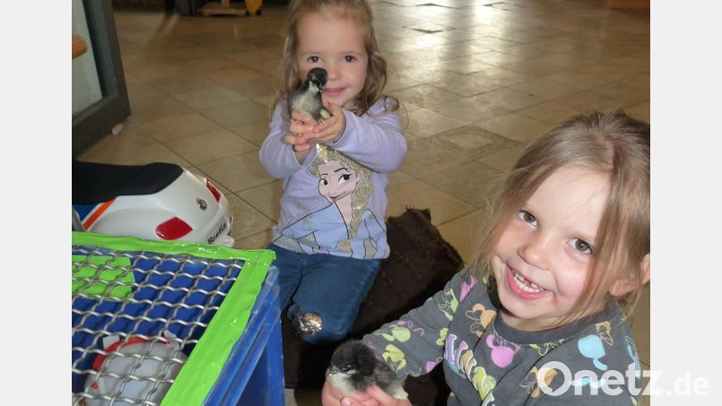 Die Kinder freuen sich über den Nachwuchs. Bild: Silke Weinhold/exb