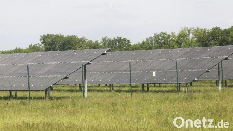 Wenn ein Solarpark (hier ein Symbolbild) extensiv im Sinne der Artenvielfalt genutzt wird, braucht der Betreiber keine Ausgleichsflächen mehr bereitzustellen. Dies will der Investor bei der Freiflächenanlage bei Geiselhof (Gemeinde Stulln) umsetzen. Symbolbild: Hirsch