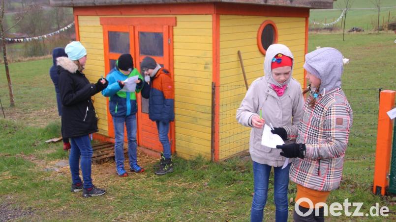 Die ersten Kinder sind beim Osterrätsel des Jungen Landvolks Waldthurn schon am Palmsonntag unterwegs. Bis Ostern werden es immer mehr, die das Osterrätsel lösen wollen. Bild: fvo