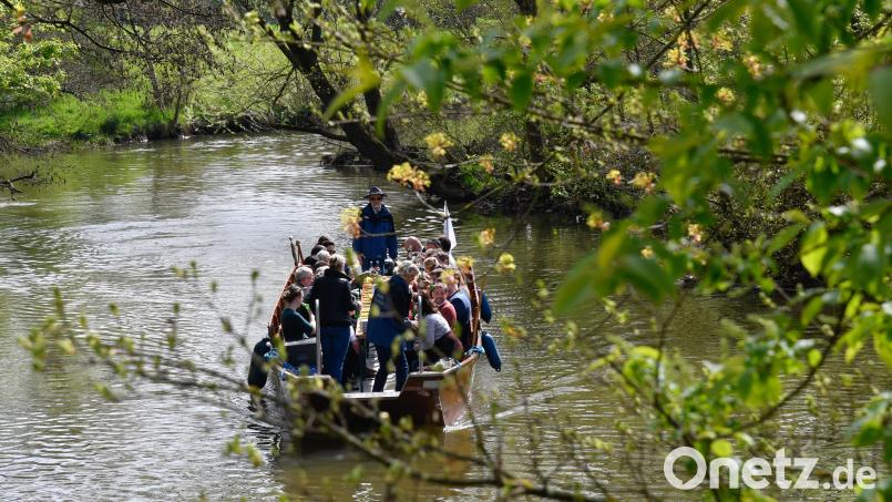 Im Jahr 2023 mussten in Amberg erstmals reguläre Plättenfahrten wegen des Personalmangels abgesagt werden. Das Angebot kommt bei den Gästen sehr gut an. Bild: Petra Hartl