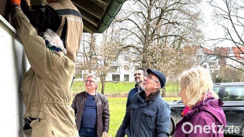 Im Hockermühlbad sollen sich Vögel und Fledermäuse zuhause fühlen. Von links: Gottfried Utz vom Bund Naturschutz, Thilo Wiesnet vom Landesbund für Vogel- und Naturschutz, Rolf Künstler, Maria Stiegler sowie Hans-Jürgen Bumes und Bäderleiter Michael Gaisa (Dritter von links). Bild: Karoline Gajeck-Scheuck/exb