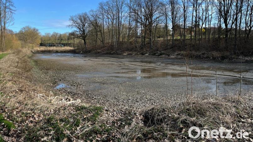 Diese Fischzuchtanlage samt Waldstreifen westlich von Guteneck wird die Heinz-Sielmann-Stiftung zu einem Biotop umbauen. Bild: ihl