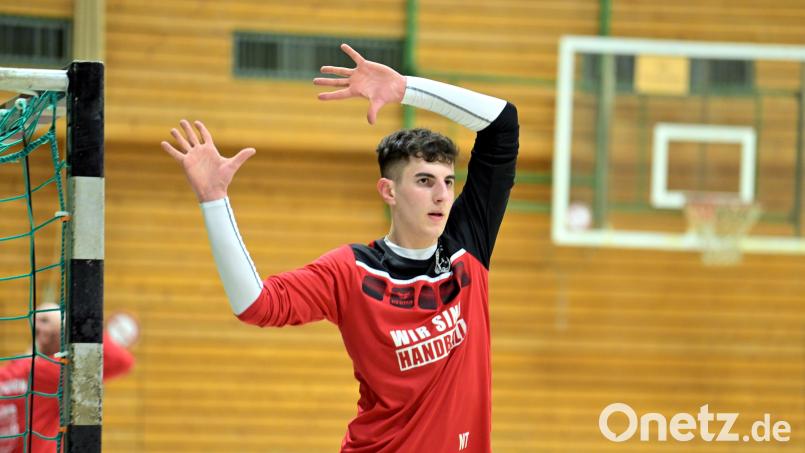 Nico Teichert war beim HC Sulzbach ein starker Rückhalt. Archivbild: Hubert Ziegler