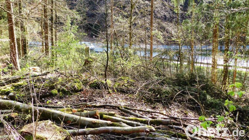 Die Deutsche Funkturm will im Auftrag der Telekom ein Funkloch an der B 299 und im angrenzenden Lauterachtal beseitigen. Dazu soll auf Höhe des Parkplatzes an der B 299 aus Richtung St. Lampert oberhalb des vorbeiführenden Radwegs ein etwa 40 Meter hoher Schleuderbetonmast mit Stahlaufsatz errichtet werden. Der Baumbestand ist bereits entfernt. Bild: jp