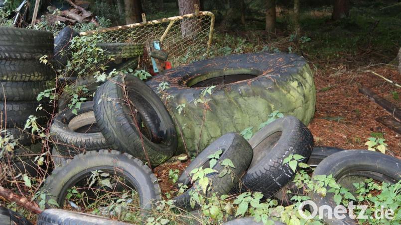 Unzählige Reifen aus der Landwirtschaft liegen in der Nähe von Ehenfeld im Wald herum. Bild: exb