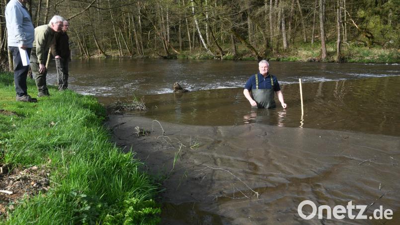 Tief im Schlamm steckt Peter Augustin in der Pfreimd bei Tanzmühle. Am Ufer stehen Michael Nitschke, Werner Völkl und Arnold Kimmerl (von links). Hier war ein Paradies für Fische und Vögel. Bild: Gabi Schönberger