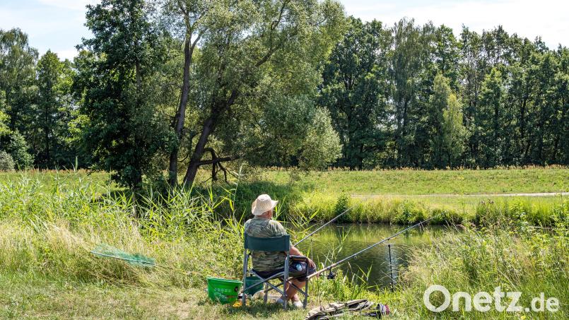 Zwei 29-Jährige haben illegal an der Vils geangelt, die Polizei anrückte. Symbolbild: Frank Hammerschmidt