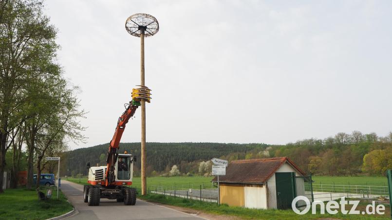 Bauhof-Mitarbeiter Thomas Graf hat mit seinen Bagger die Hopfensäule mit dem Horst fest im Griff. Bild: bl
