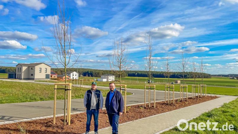 Garten- und Landschaftsbauer Matthias Lang sowie Bürgermeister Hans Walter (von links) begutachten in der Talstraße das Ergebnis der Baumpflanzaktion. Bild: hwk/exb