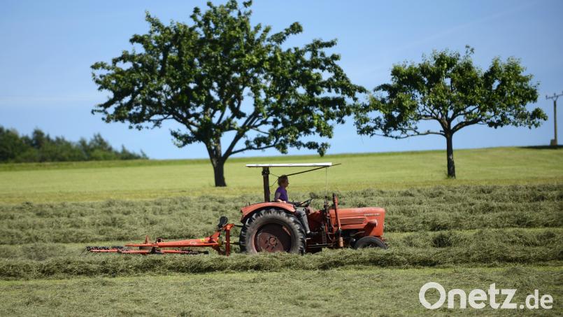 In Schwaben haben vier Jugendliche einen Traktor gestohlen und sind mit diesem in einer Wiese stecken geblieben. Symbolbild: Uwe Zucchi