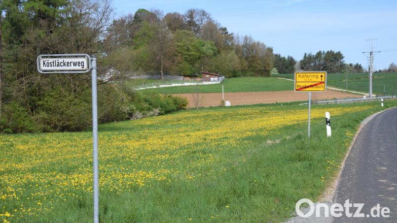 Im Wochenendgebiet bei den Köstläckern in Mendorferbuch sind ein Flächennutzungsplan und ein Bebauungsplan nun zum Greifen nahe. Seit 1962 ist dort immer wieder gebaut worden. Bild: bö