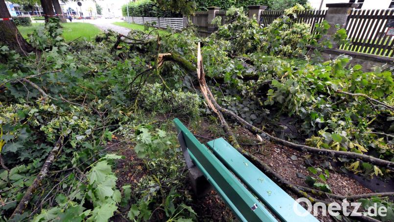 Entwurzelte Bäume auf öffentlichen Flächen blieben in der Sturmnacht zum Dienstag rund um Weiden die Ausnahme. Symbolbild: Stephan Huber