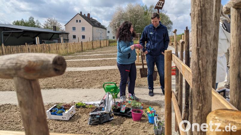 Direkt nach der Eröffnung des Bürgergartens fachsimpelte man schon über allerlei Pflanzen. Bild: Sascha Fuchs/fph