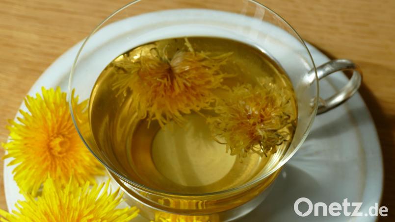Ein kleiner Genuss, nicht nur an Wintertagen: Löwenzahnblütentee mit bitter-süßem Aroma Bild: Ulrike Gschwendtner