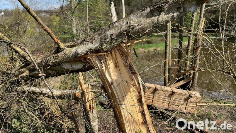 In einer Reihe oder durcheinander wie Mikadostäbchen? Die Art und Weise, wie Bäume bei Stürmen beschädigt und abgeknickt wurden, gibt Experten Hinweise darauf, ob es sich um einen Tornado oder ein anderes Wetterereignis gehandelt hat. Bild: Gabi Schönberger