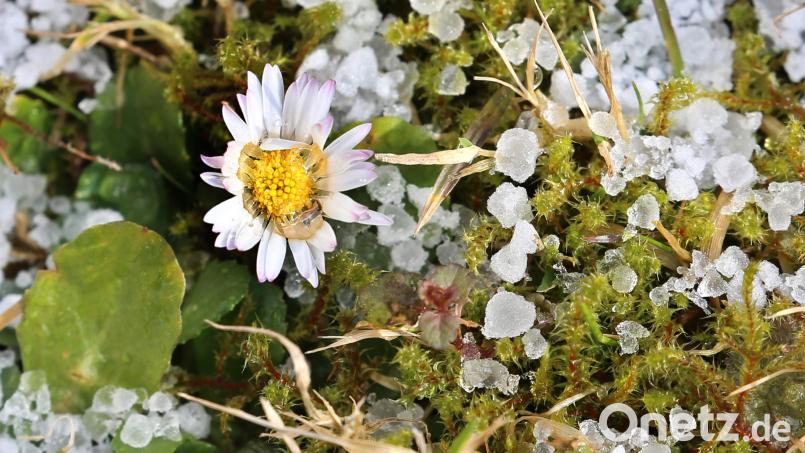 Im April sind auch Graupel und Schnee nicht auszuschließen. Archivbild: Karl-Josef Hildenbrand/dpa