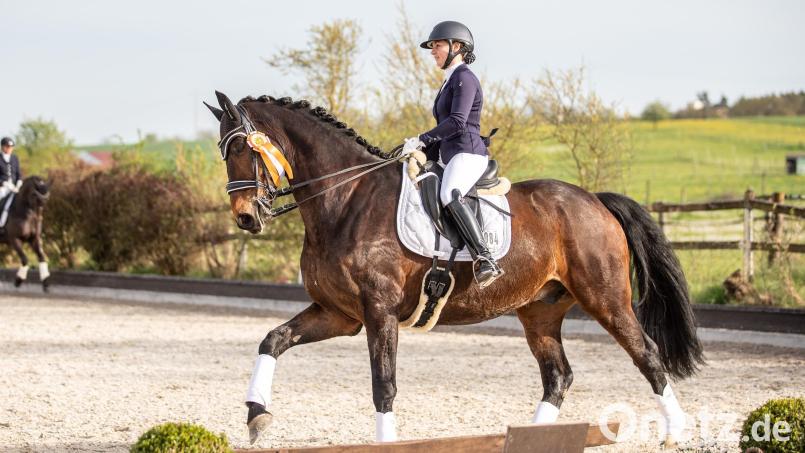 Gutklassigen Dressursport gab es auf der Reitsportanlage der Familie Kick zu sehen. Bild: Basler