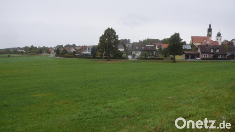 Westlich der Ilsenbacher Straße soll das neue Baugebiet mit 28 Parzellen am Ortsrand von Püchersreuth entstehen. Archivbild: fz