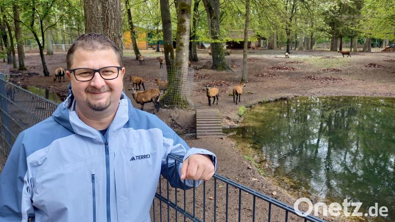 Lieblingsplatz von Höllohe-Leiter Stefan Jahreiß ist das Gehege der Kamerunschafe. Bild: bl