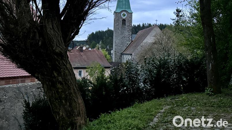 Die im vergangenen Jahr gepflanzte Hecke am alten Pumphaus entzweit den Gemeinderat. Mehrere Räte sorgen sich, die ungenießbaren Früchte von Kirschlorbeer und Wacholder könnten spielende Kinder gefährden. Bild: Eichl