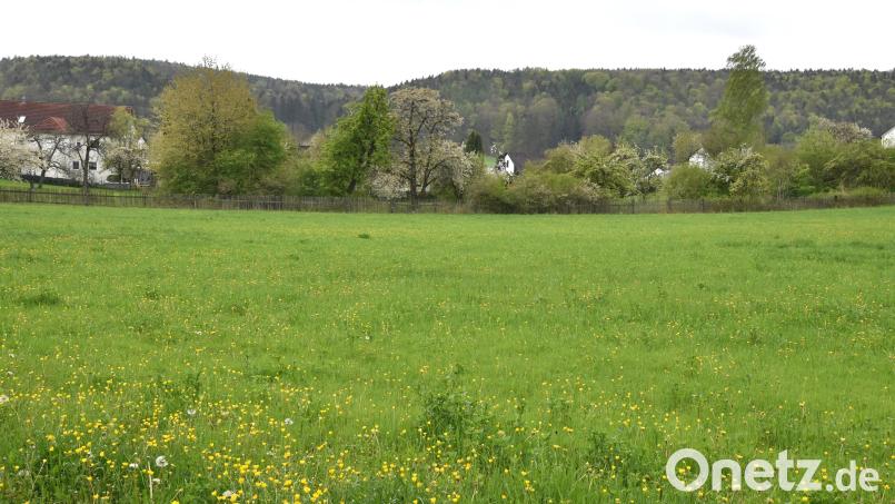 Blick auf das geplante private Baugrundstück im westlichen Ortsbereich von Illschwang, auf dem sieben Parzellen entstehen sollen. Bild: no