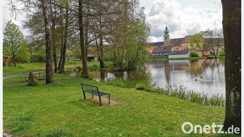 Wiese und Bänke am Oberviechtacher Marktweiher sind im Sommer ein beliebter Treffpunkt. Der Stadtrat will hier das legale Kiffen nicht zulassen. Bild: Portner