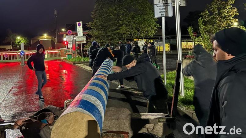 Max Scheidler und seine Freunde klauen mit Hilfe der Jungs und Mädels von der KLJB Störnstein in der Nacht von Samstag auf Sonntag den Weidener Maibaum. Bild: Max Scheidler