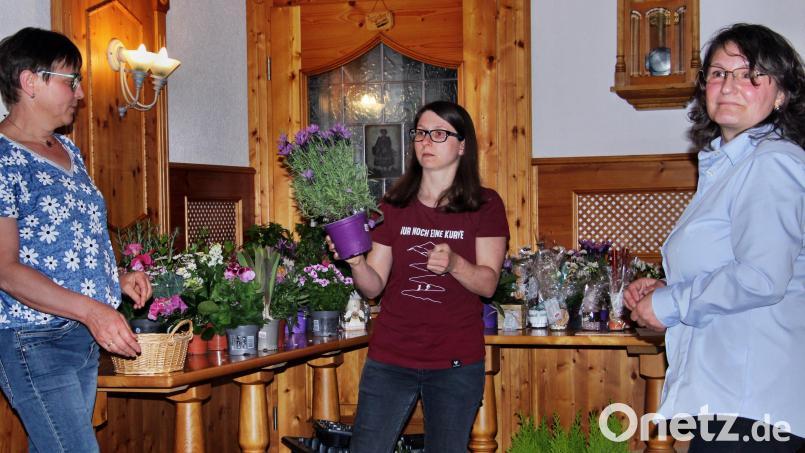 Gartenbauvorsitzende Verena Frauenknecht (Mitte) bei der Verteilung der rund 100 Blumen, wobei sie von Ingrid Ertel (links) und Elisabeth Steger-Piehl unterstützt wurde. Bild: ds