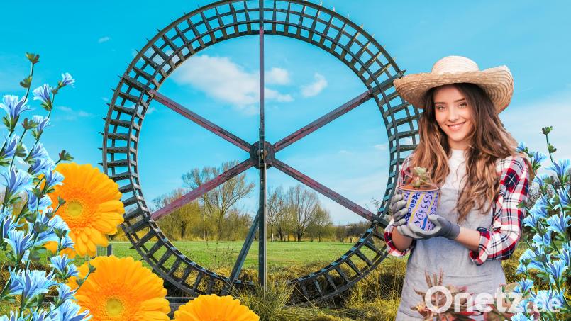 Die neue Amberger Gartenmesse auf dem Landesgartenschau-Gelände! Bild: Mercedes Mayerl/exb