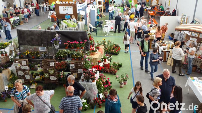 Die Birglandhalle war bereits bei der Gewerbeschau 2019 ins Geschehen einbezogen. Archivbild: Johann Utz/exb