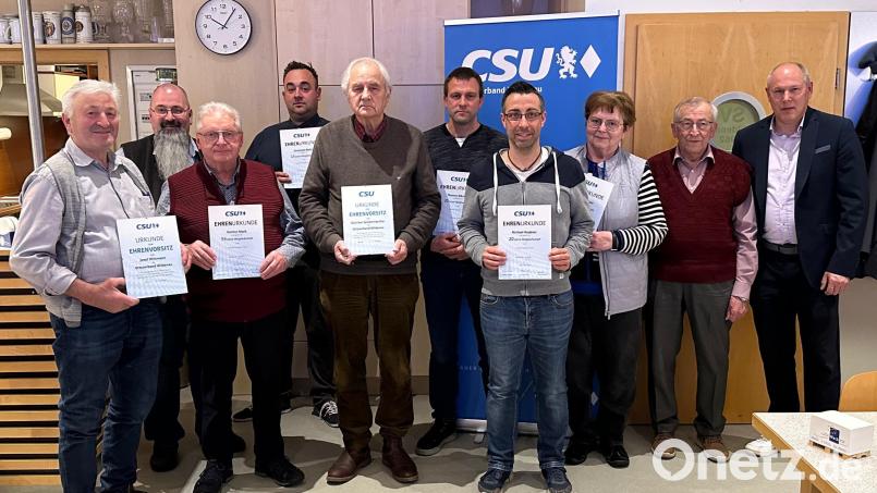Ehrungen standen bei der CSU Wildenau an: (von links) Josef Wittmann, Thomas Wittmann, Helmut Mark, Christoph Röckl, Hans-Günther Spickenreuther, Thomas Albrecht, Michael Haubner, Hildegard Platzer, Josef Albrecht und Markus Preisinger. Bild: CSU Wildenau/exb