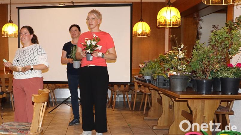 Los-Fee Julia Etzold sowie die Pflanzenverteilerinnen Barbara Eckl und Claudia Siegert (von links) bei der Arbeit. Bild: gru