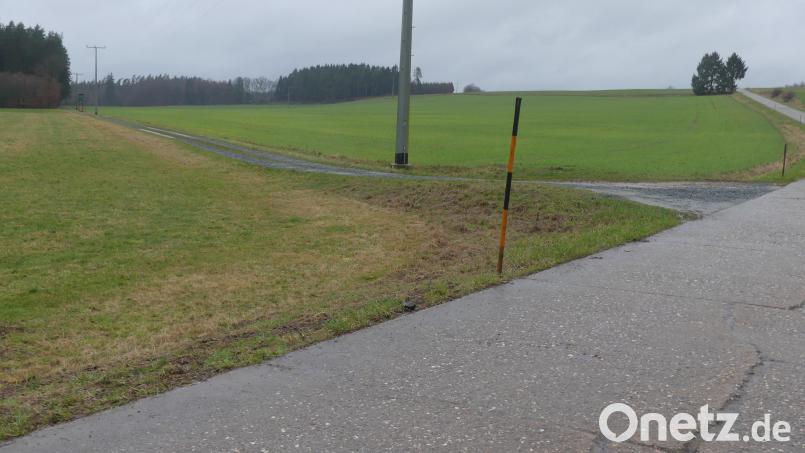 Auf dieser gut 19 Hektar großen Wiesenfläche südlich von Scheckenhof sollen künftig jährlich zirka 26 Millionen kWh Strom produziert werden. Bild: rn
