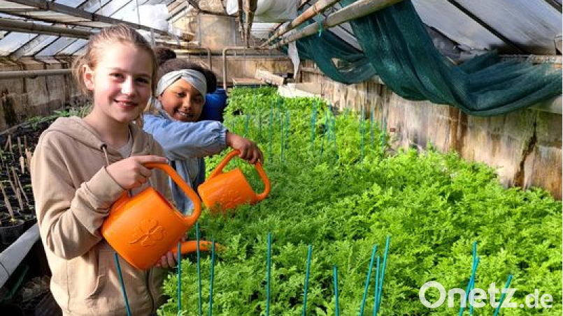 Einige Kinder beim Gießen im neuen Jugendpflanzen-Kindergarten des Konnersreuther Vereins G.A.N.S. Bild: Andrea Schwägerl/exb