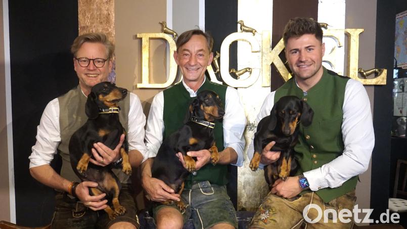 Oliver Storz (v.l.) und Seppi Küblbeck sind die Erfinder und Gründer des Dackelmuseums in Regensburg. Mittlerweile ist mit Moritz Hickl auch ein dritter Mitinhaber an Bord. Die heimlichen Stars bleiben aber ohnehin die Dackel: Seppi, Moni und Blümchen. Bild: Claudia Erdenreich