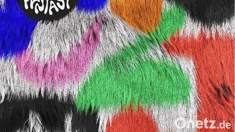 Coma – Fuzzy Fantasy (City Slang) Bild: City Slang