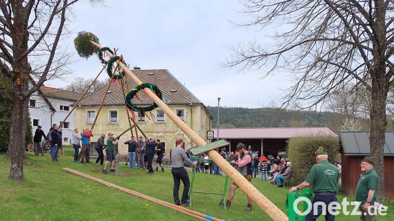 Nur mit Schwalben und Muskelkraft wurde im Ortsteil Frauenreuth der Gemeinde Friedenfels der Maibaum aufgestellt. Archivbild: bsc